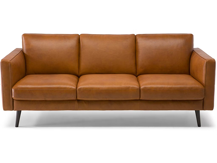 leather sofa home decor